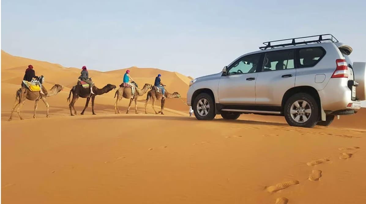 Golden Rasmouka sand dunes stretching to the horizon near Agadir, Morocco